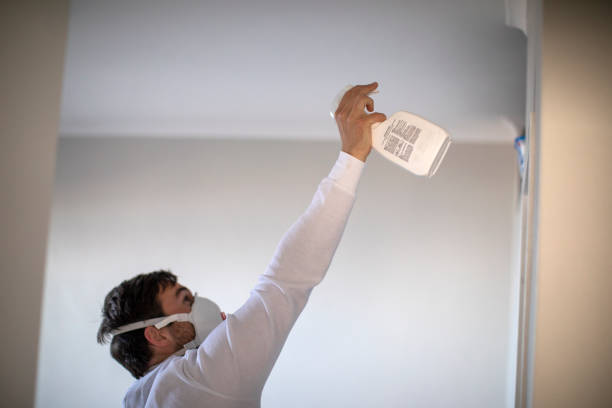 Best Crawl Space Mold Removal  in Vaiden, MS
