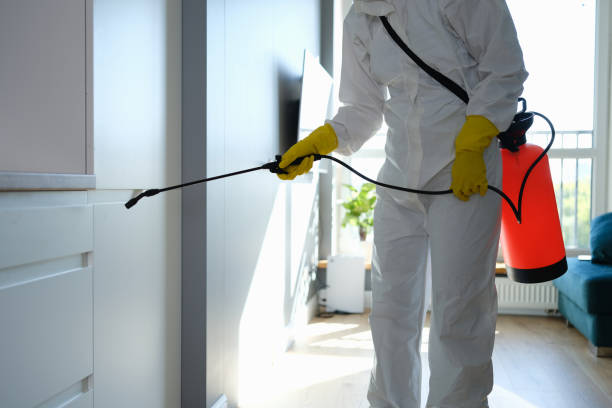Best Mold Testing  in Vaiden, MS