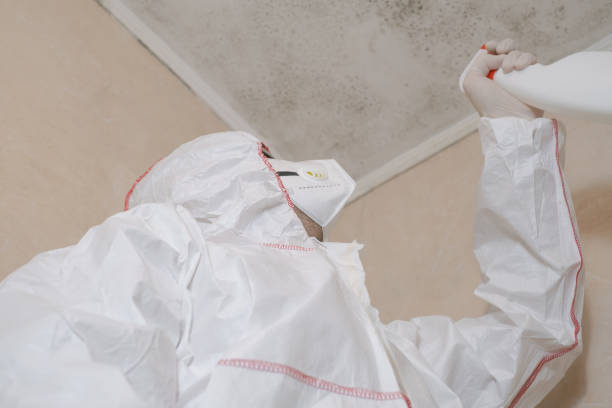 Best Mold Testing  in Vaiden, MS
